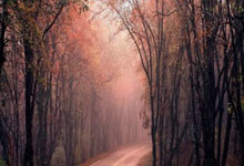 壹号娱乐:英超第33輪曼聯3-2諾維奇 C羅帽子戲法挽救球隊.