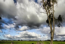 [NBA]约基奇妙传 威少压哨三分应声入网.