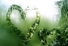 壹号娱乐官网：[流言板]U20亚洲杯：澳大利亚2-0日本晋级决赛，皮尔曼破门45亮123回复.