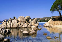 21-22賽季英超聯賽第19輪比賽集錦.